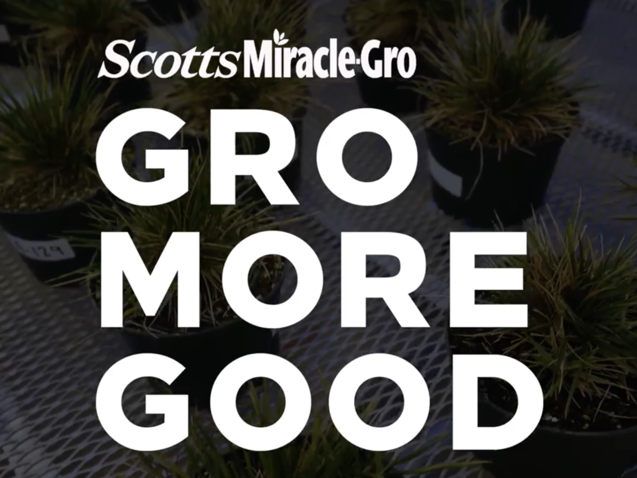 Scotts Miracle-Gro Gro More Good