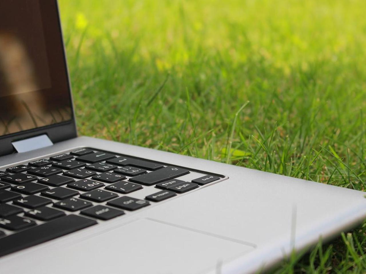 Laptop on Grass