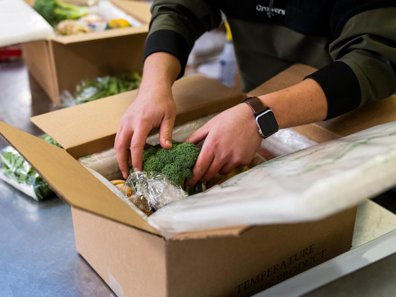 person packs vegetables into a box