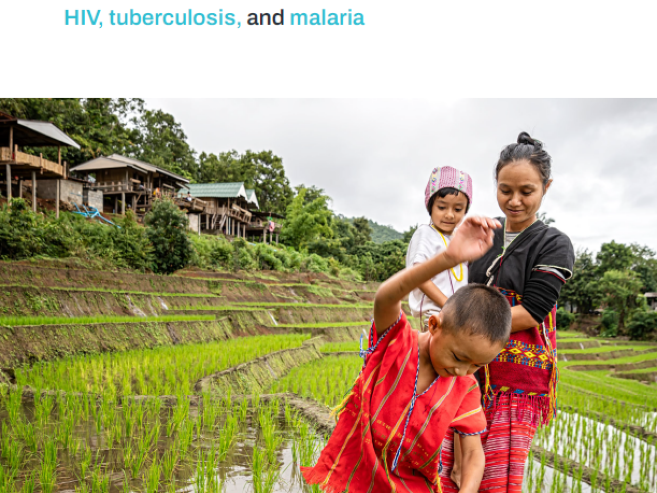 2 children walk through rice field with mother 