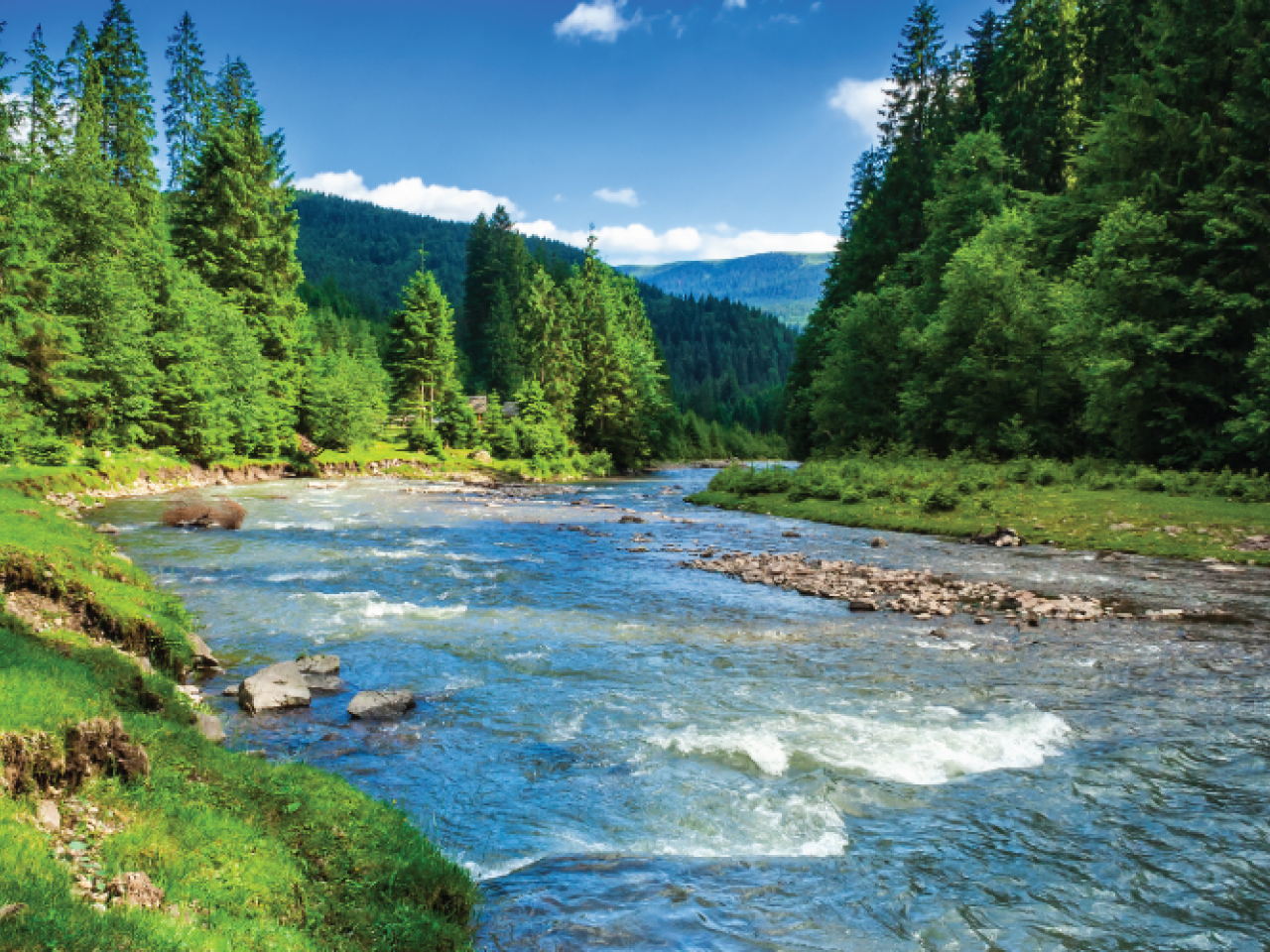 Mountain stream