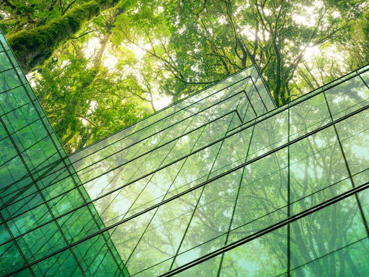 Glass sided building imposed over a canopy of trees.