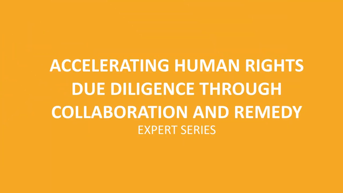 "ACCELERATING HUMAN RIGHTS DUE DILIGENCE THROUGH COLLABORATION AND REMEDY EXPERT SERIES"