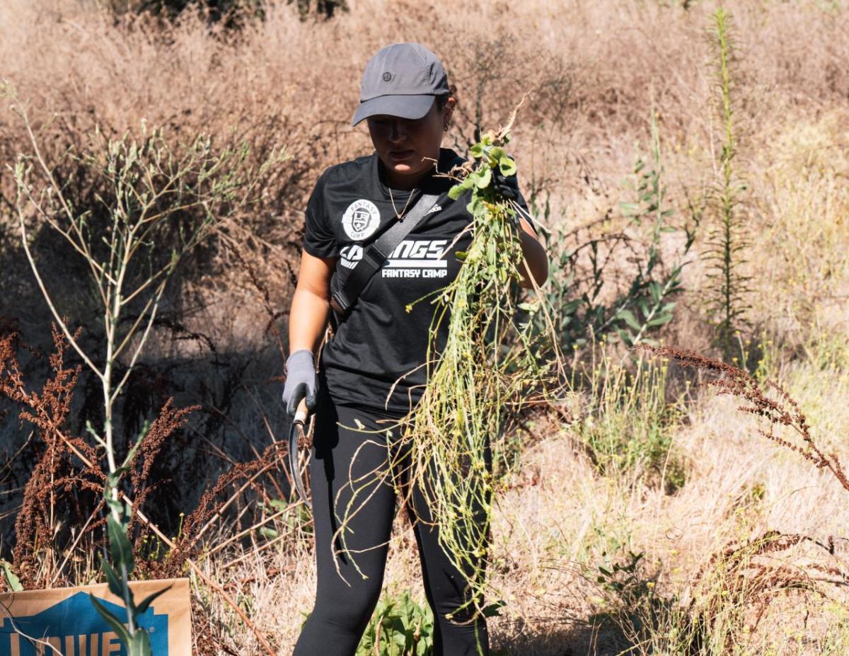 A volunteer from the LA Kings helps remove invasive plants.