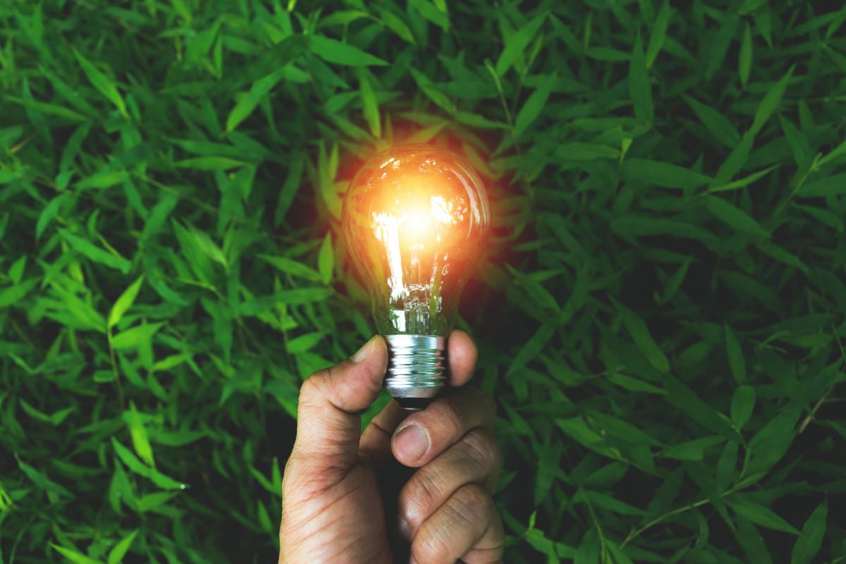 Hand holding lightbulb with grass background