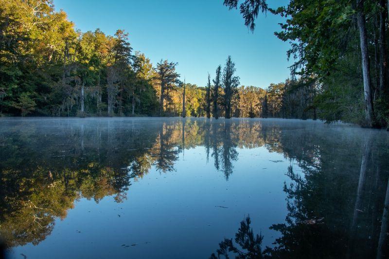 trees around a small lake