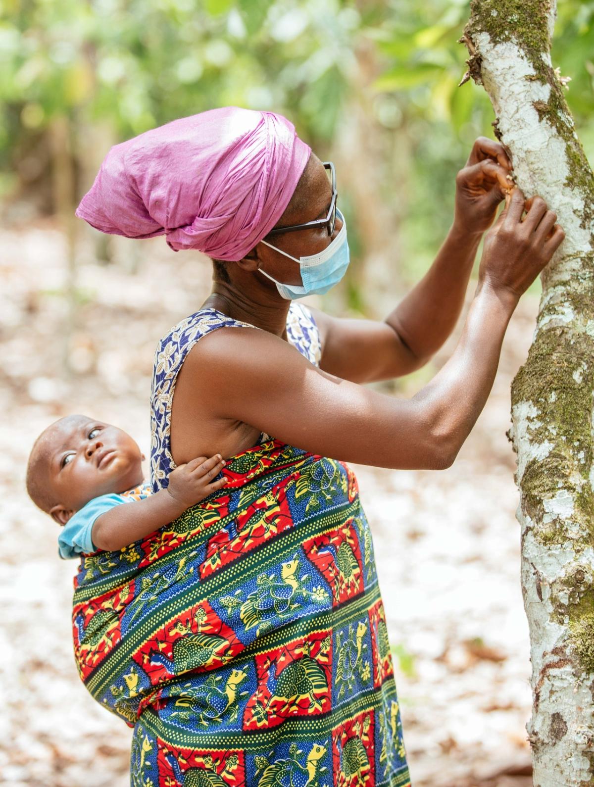 Cocoa farmer Regina Quayson (50) hand-pollinating a tree wearing VisionSpring eyeglasses. Hand-pollination is not possible without clear vision, and it increases yield by 110%.