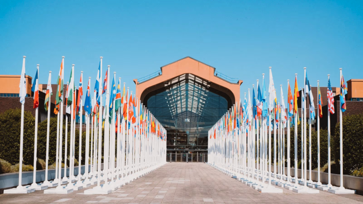 Many flags in front of a building