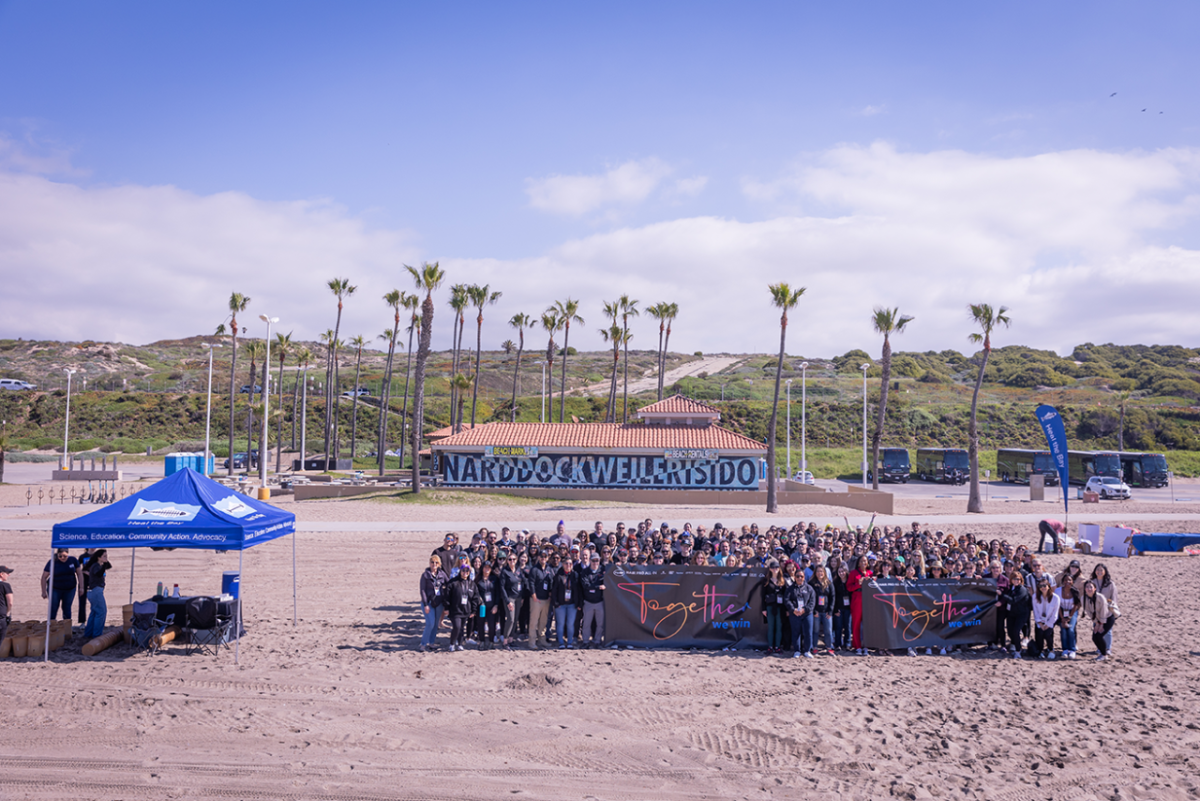 People standing in a group outside, with palm trees and sky in the background