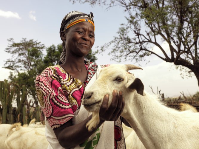 Rosalyne, 35, raises hearty Galla goats in West Pokot County, Kenya, with support from Action Against Hunger. Photo by: Peter Caton for Action Against Hunger, Kenya