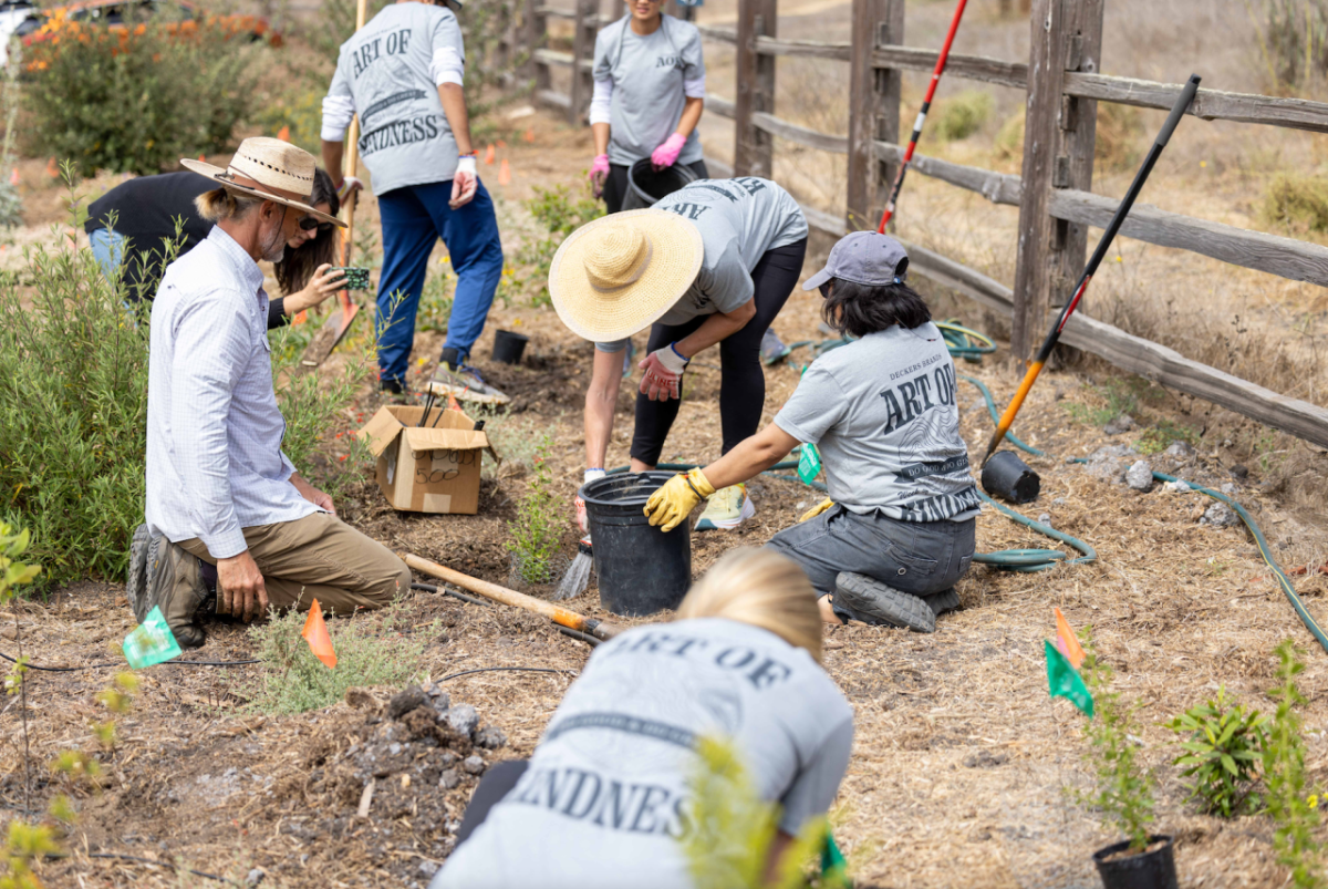 Deckers employee volunteer group planting 