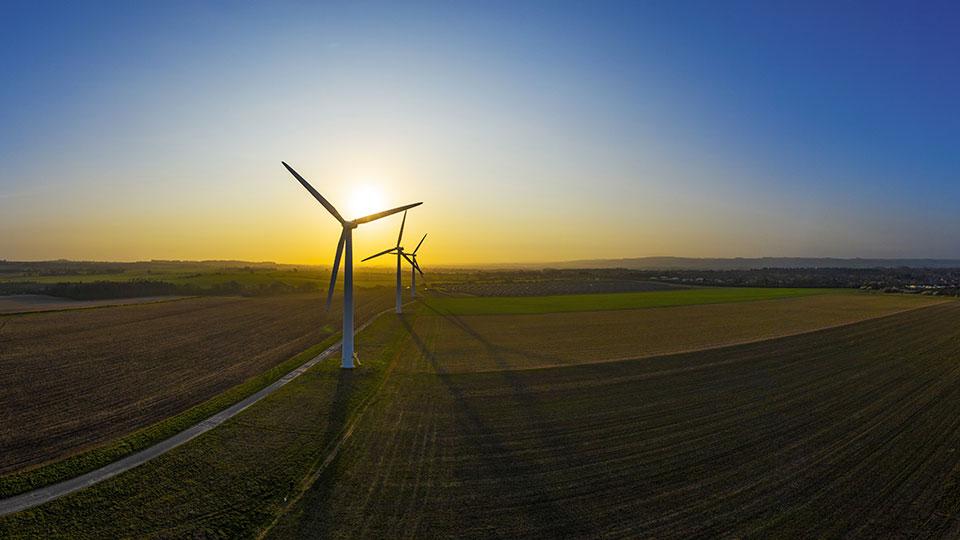 Windmills at sunset