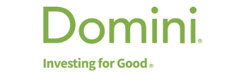 Domini logo