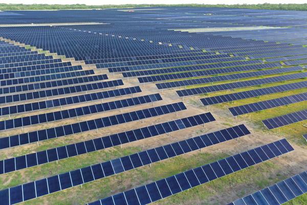 Rows of solar panels. 