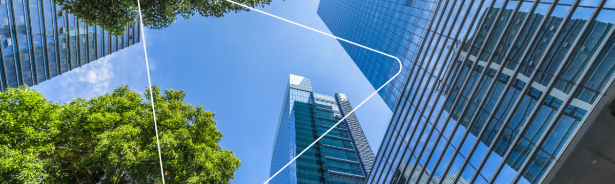 outdoor shot looking up to the sky. Tall buildings and trees around the periphery. an abstract triangle outline in the middle