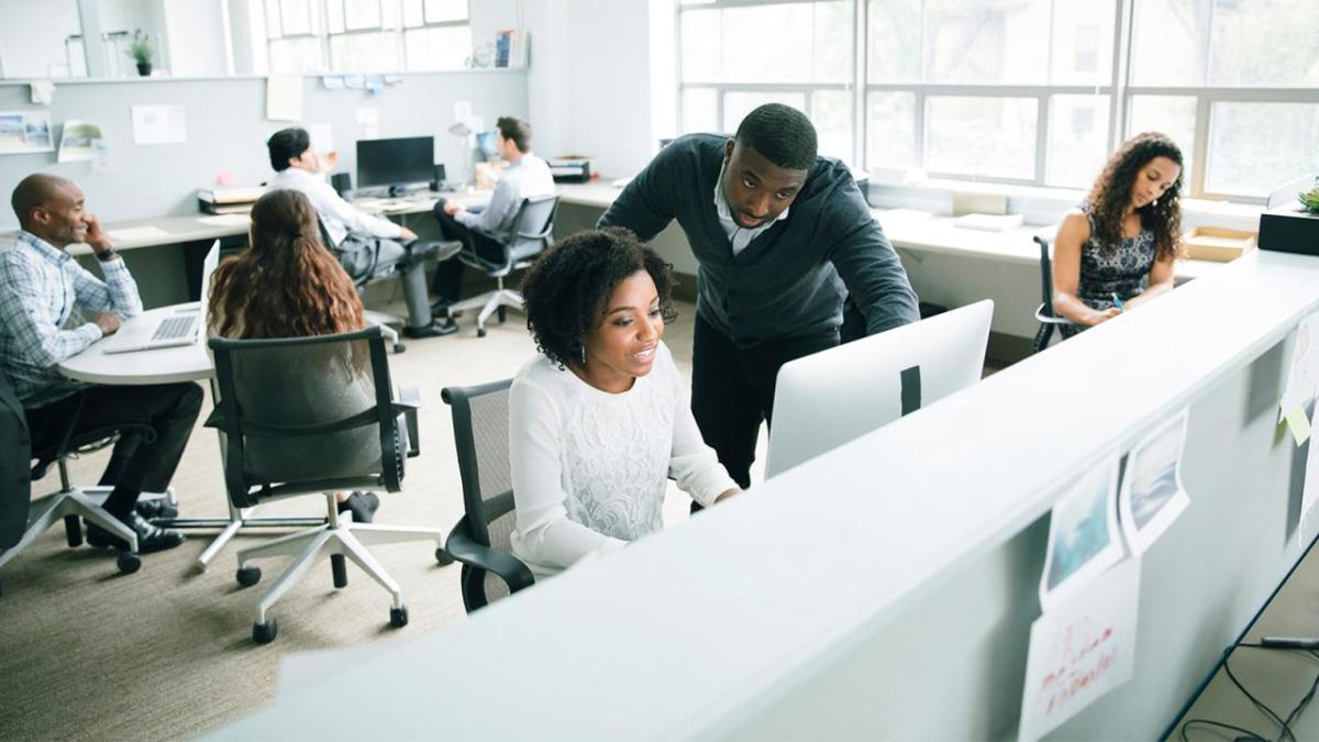 people working together in an office