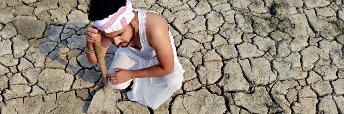 a person kneeling on cracked, dry soil