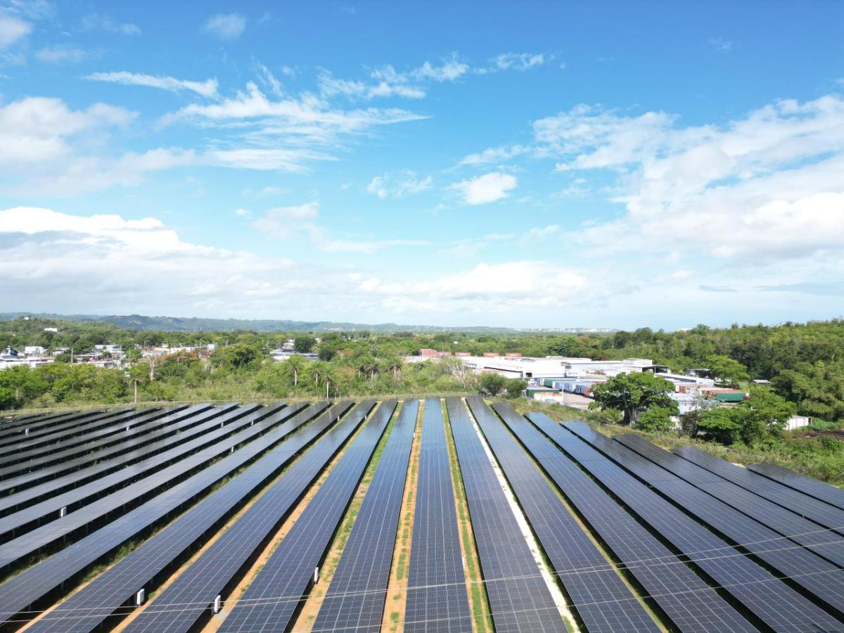 field of solar panels 