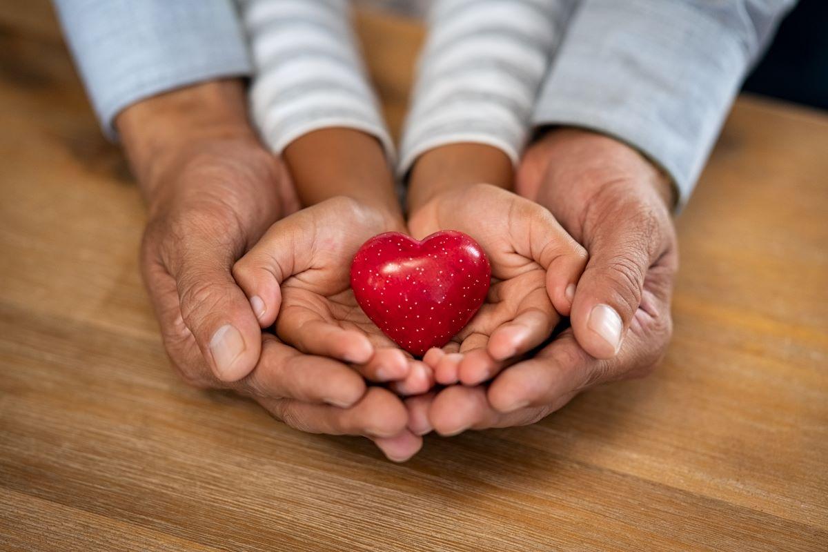 hands holding heart