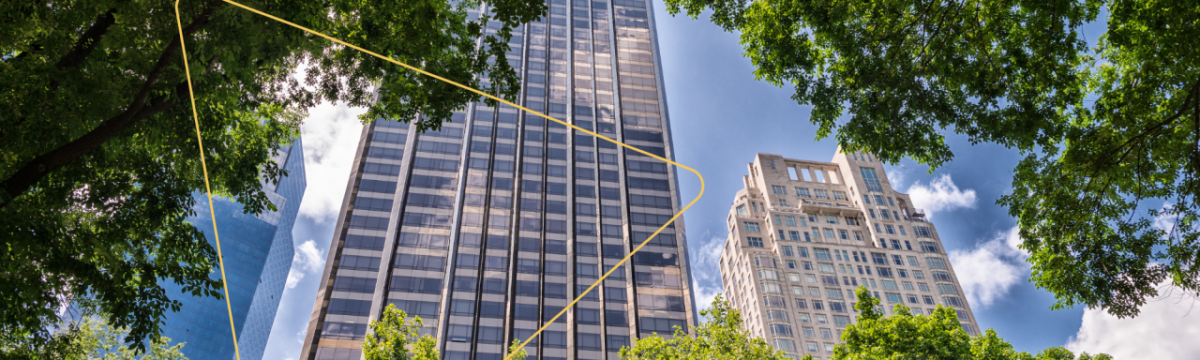 tall buildings seen through a canopy of trees with a triangle overlay