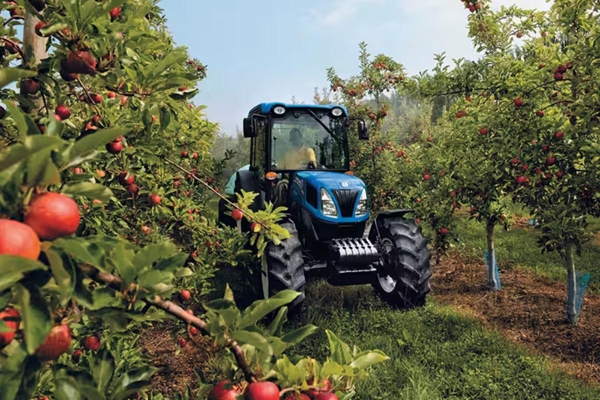 tractor in orchard