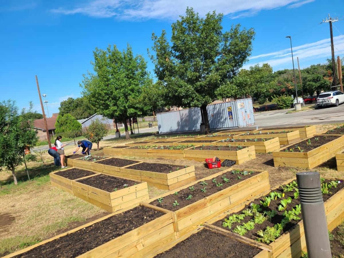 Three Home Depot volunteers work on planting vegetables in garden boxes.