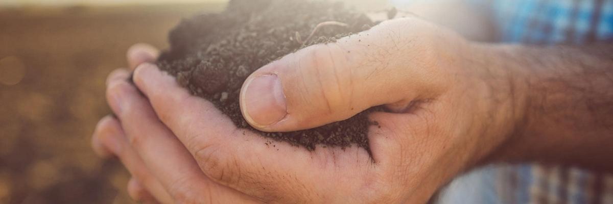 hands holding soil