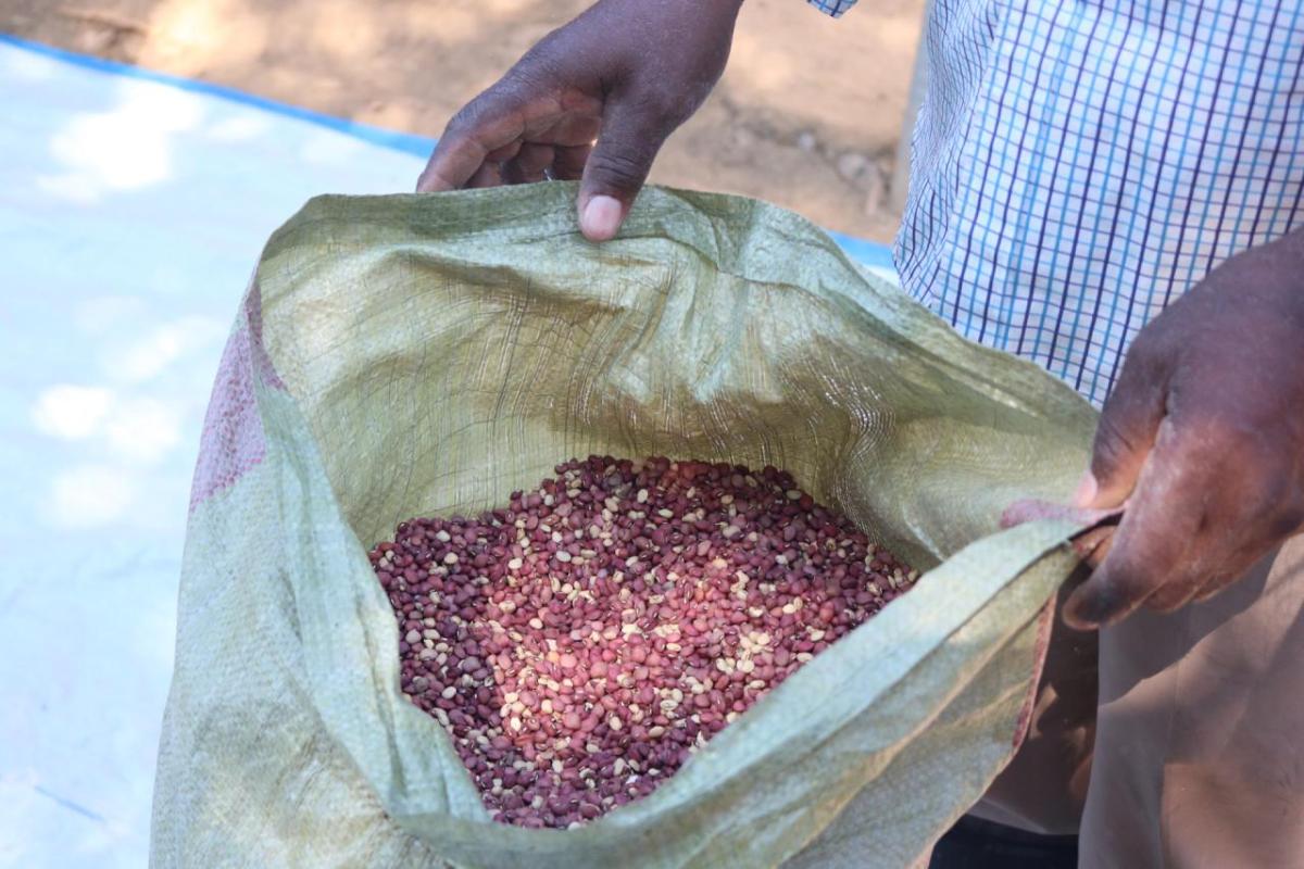 Cowpeas are nutrient-dense and healthy to eat.