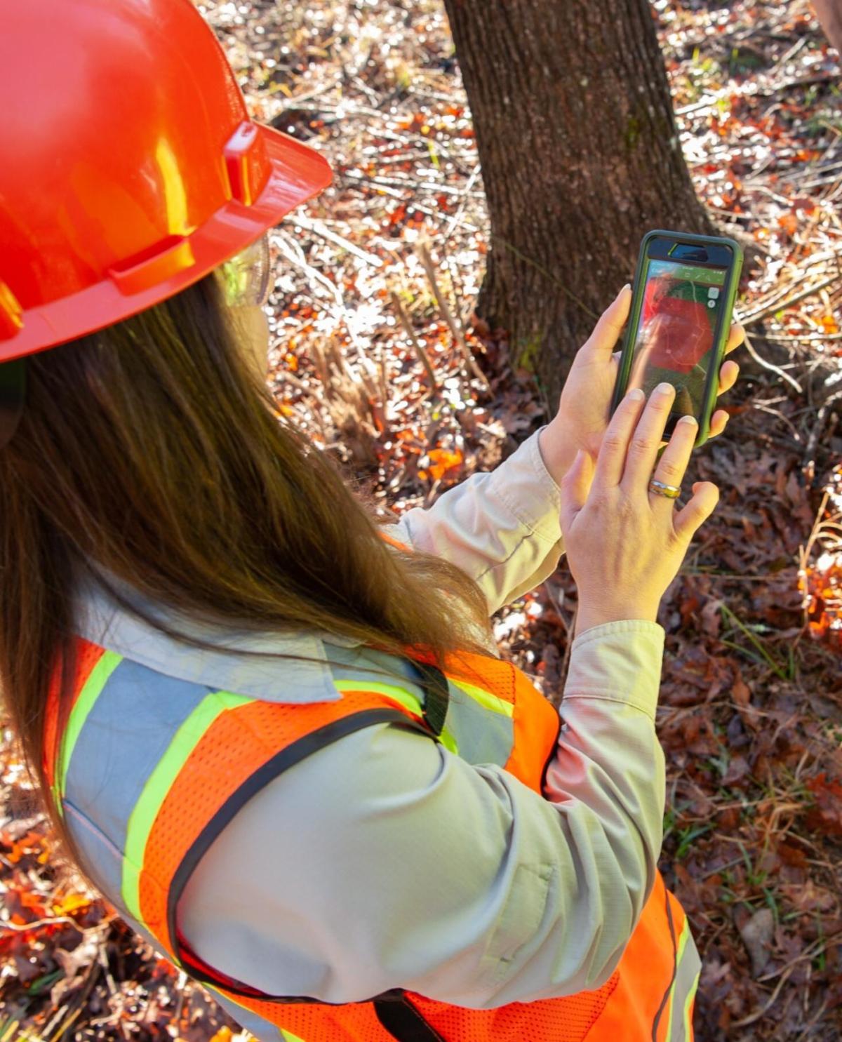 A person using a phone in a forested area