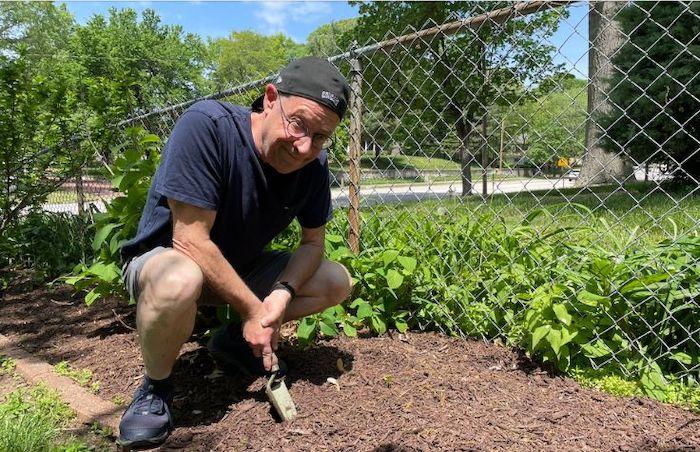 Dr. Barry Goldman digging in a garden.