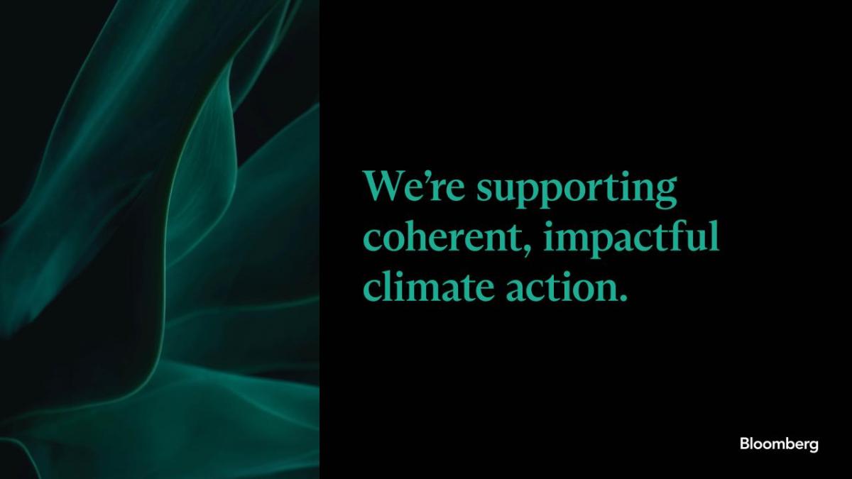 We're supporting coherent, impactful climate action.