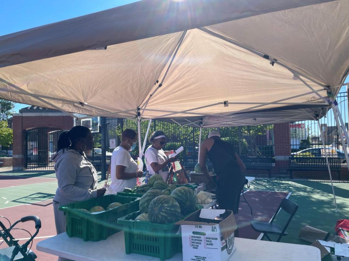 Tent set up at Farmers Market.