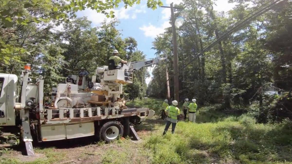 Lineworkers in a tree-dense area, one in the bucket of a lift truck.