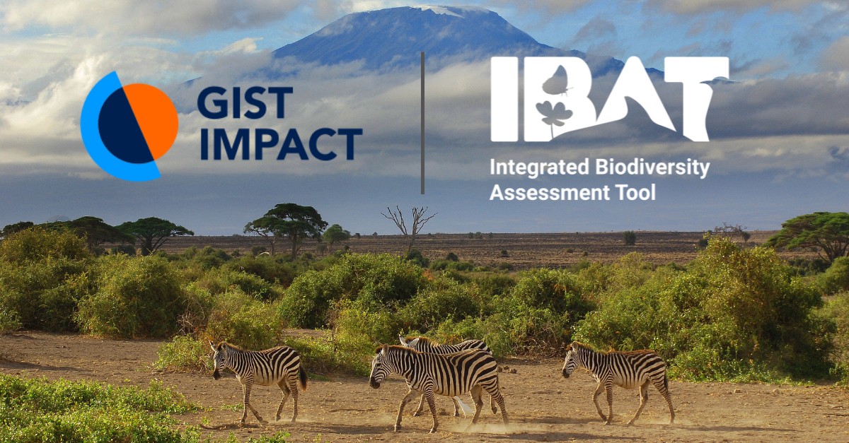 The GIST Impact and IBAT logos set against a backdrop of Kilimanjaro.