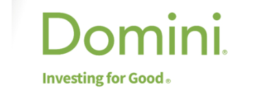 Domini logo