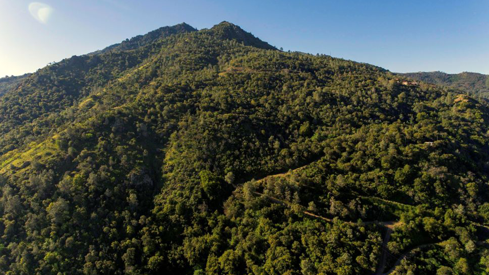 Mount Diablo with a clear blue sky behind