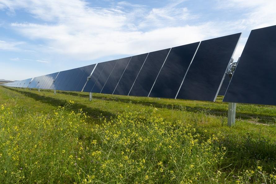 solar panels laid out side by side in a sunny field 