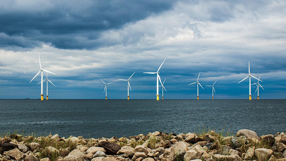 Offshore wind farm