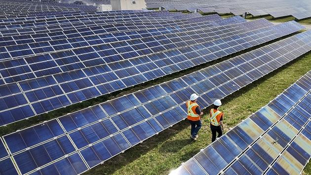 Two people in high-vis vests and hard hats walking down a row of a large field of solar panels.