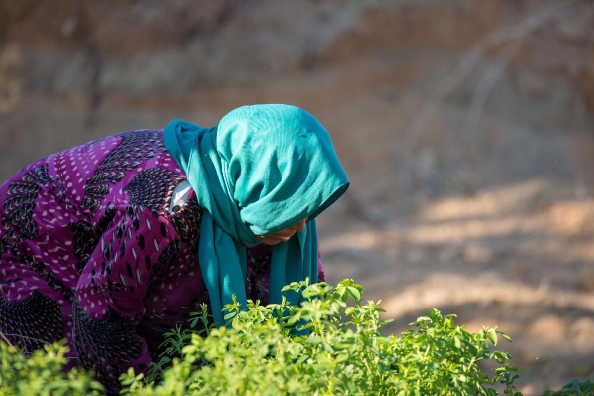 A person bent over looking at a plant