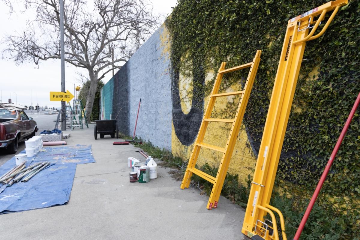 The mural before Edison's volunteer work began, covered in graffiti, then paint and vines.