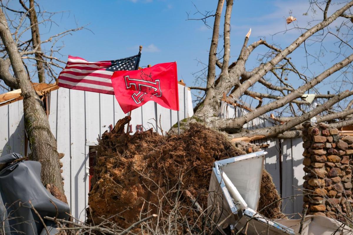 American and Red Cross flags