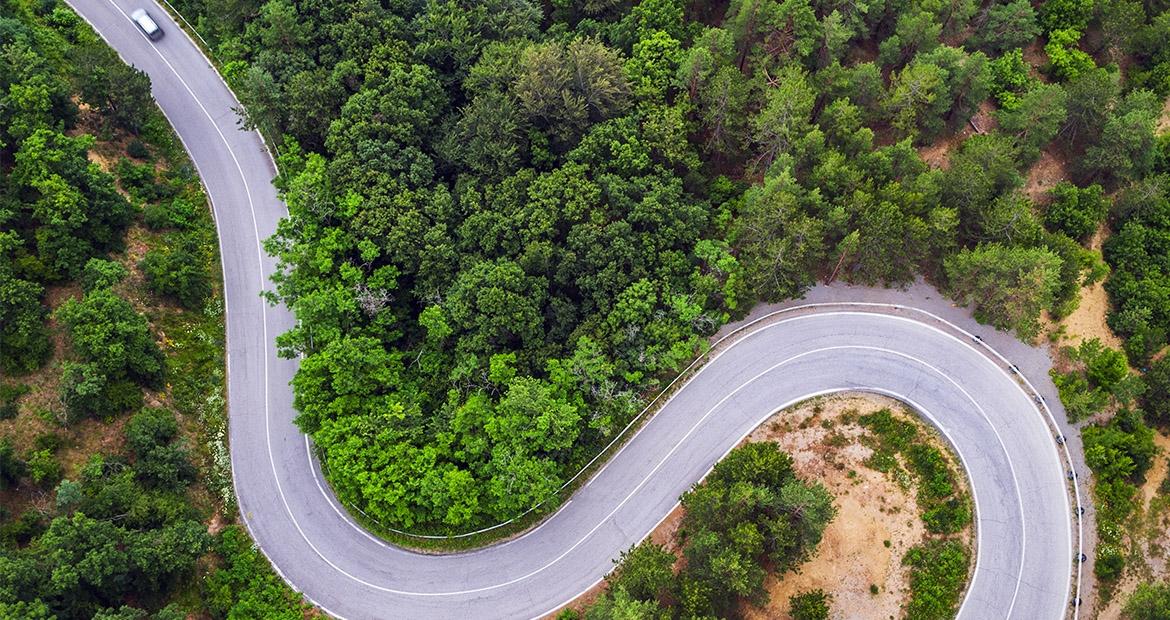 A road running through trees