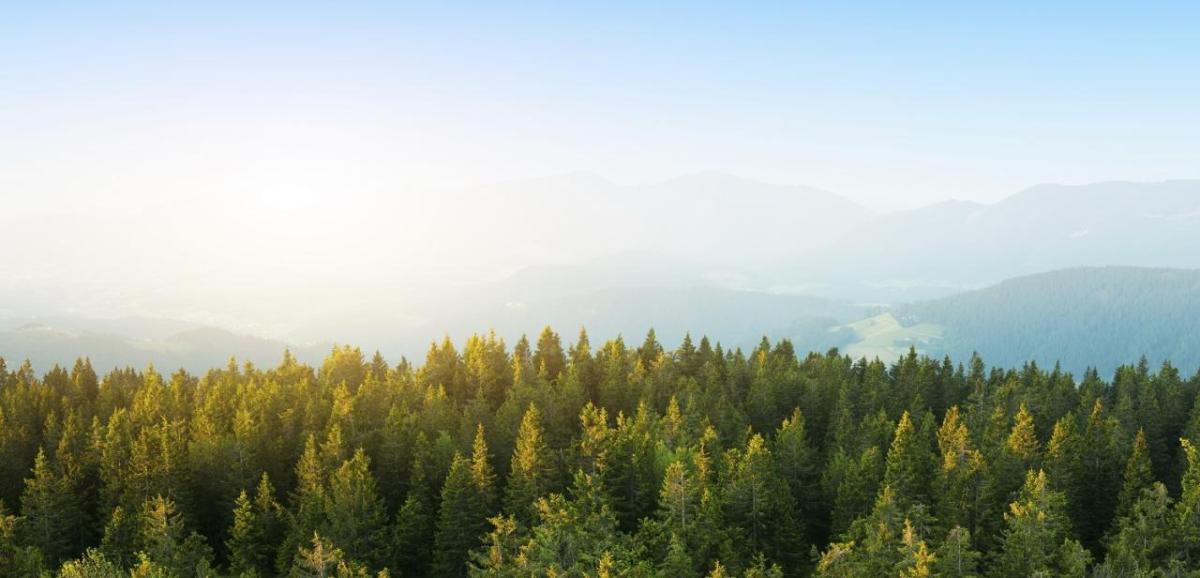 Mountains behind a forest