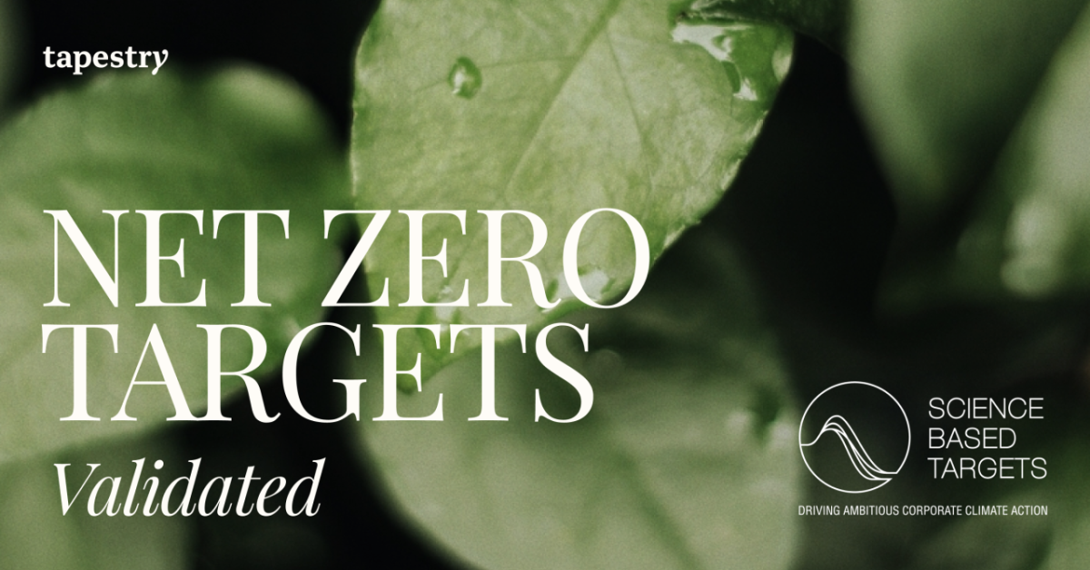 Banner image with a close up of green leaves and text saying Net Zeri Targets Validated