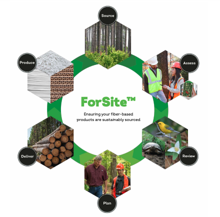 ForSite Infographic