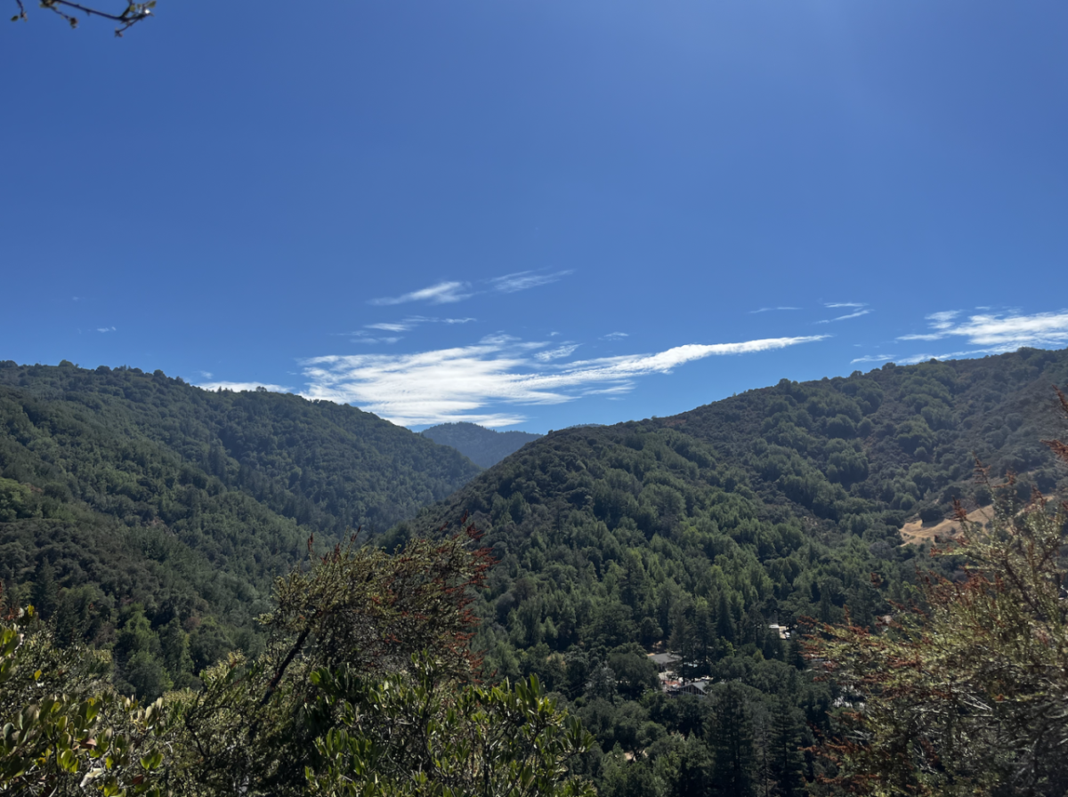 Aerial view of a hilly, forested landscape.