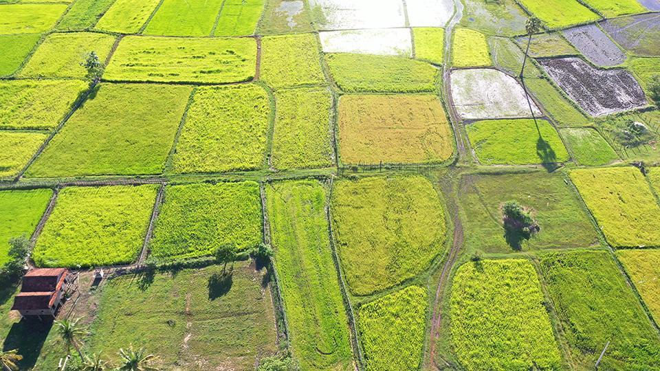 Tetra Tech supports Water Farmer User Communities in central Cambodia to maintain irrigation canals.