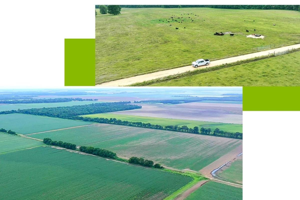 Collage of aerial views of farmland.