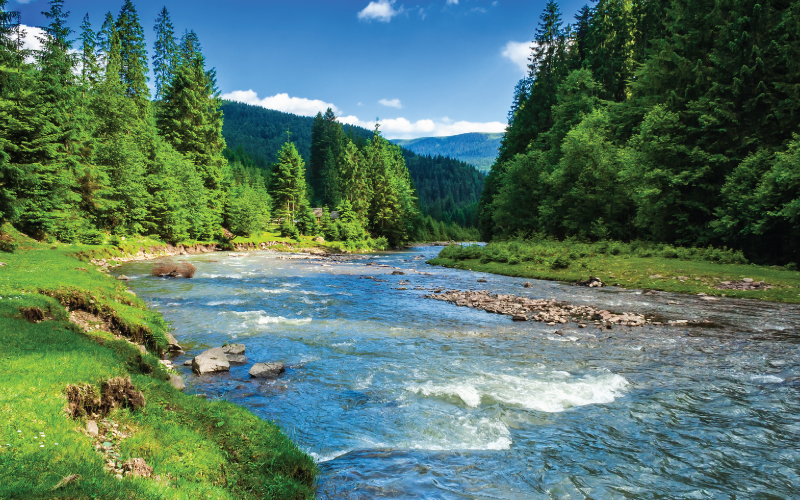 Mountain stream